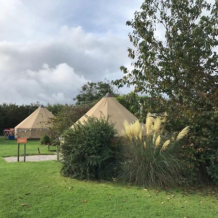 Coutts Glamping Hotell Wadebridge Eksteriør bilde